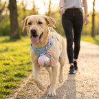 Gourde 2-en-1 BalooDog — chien en balade heureux avec sa maîtresse — rose turquoise